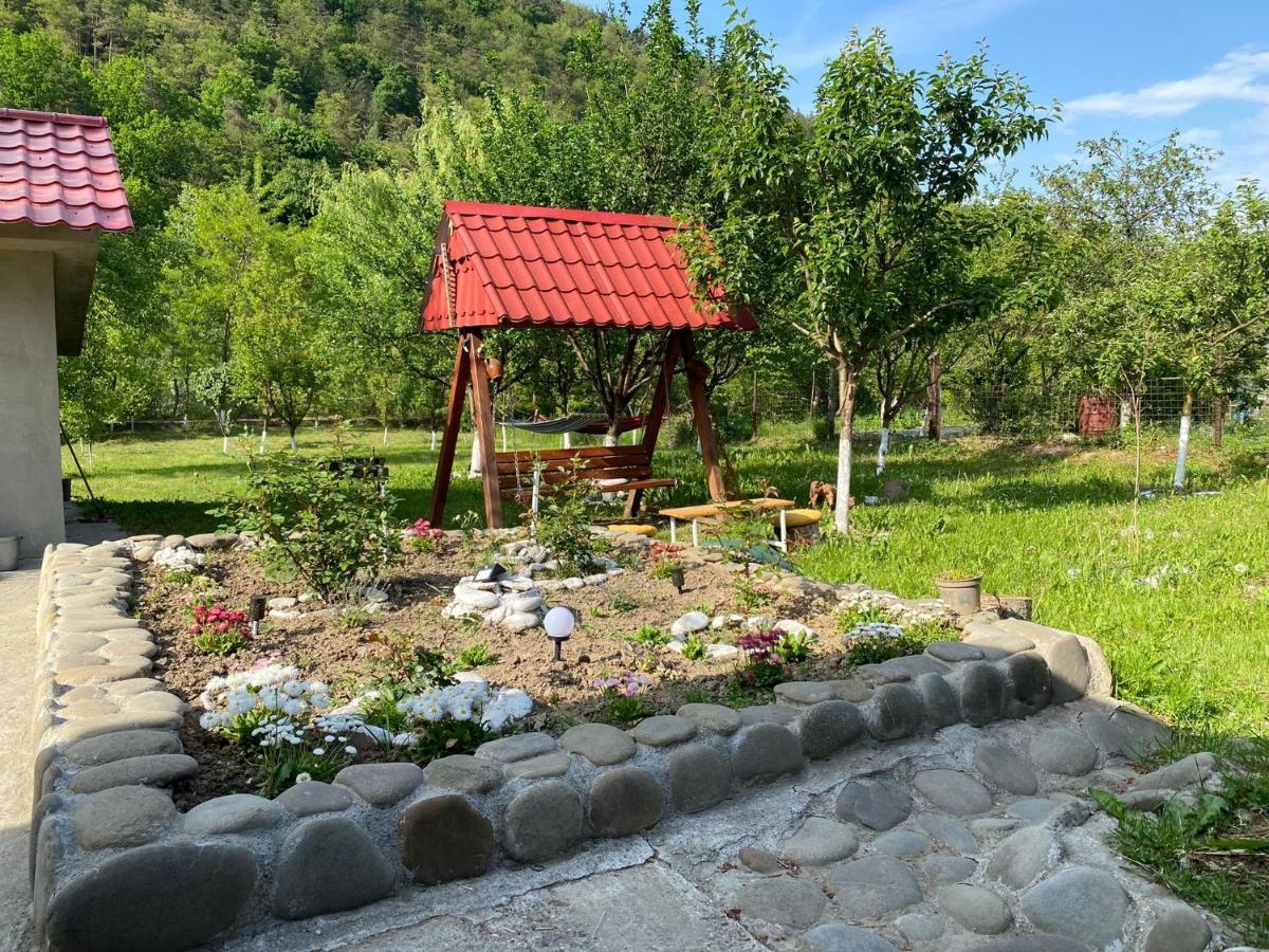 Casa Carbunaru ตือร์กูออกนา ภายนอก รูปภาพ