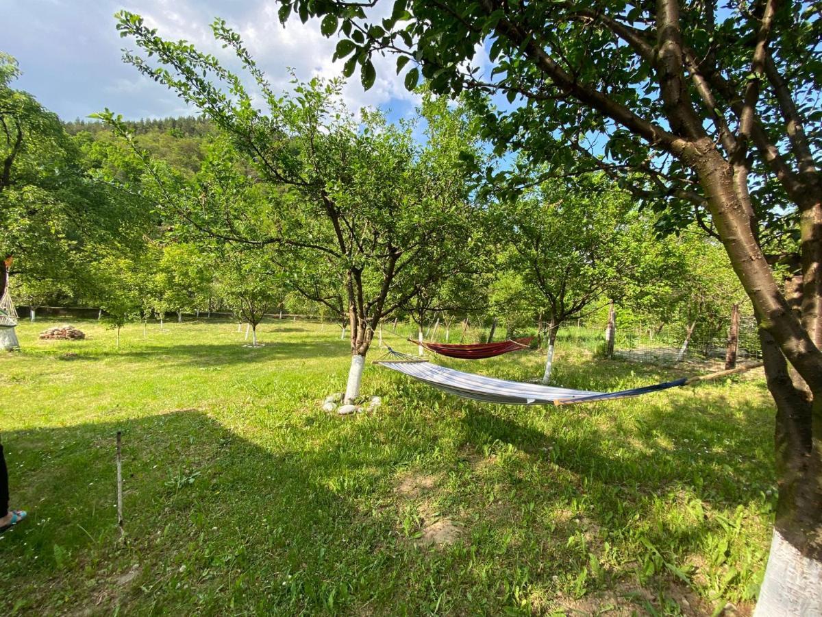 Casa Carbunaru ตือร์กูออกนา ภายนอก รูปภาพ