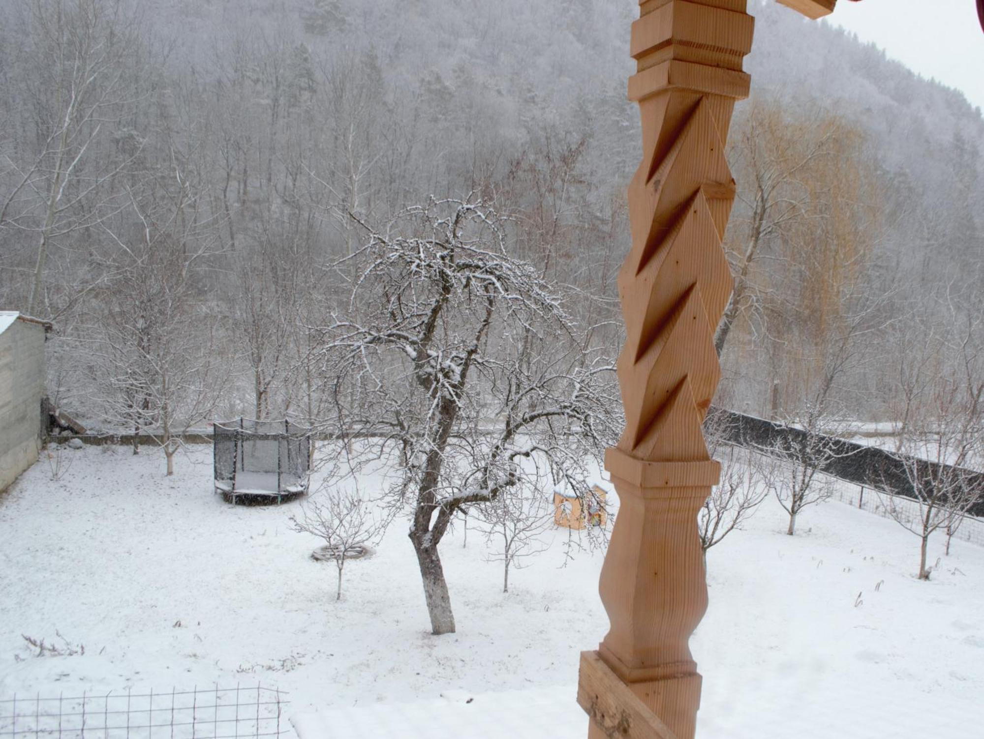 Casa Carbunaru ตือร์กูออกนา ภายนอก รูปภาพ